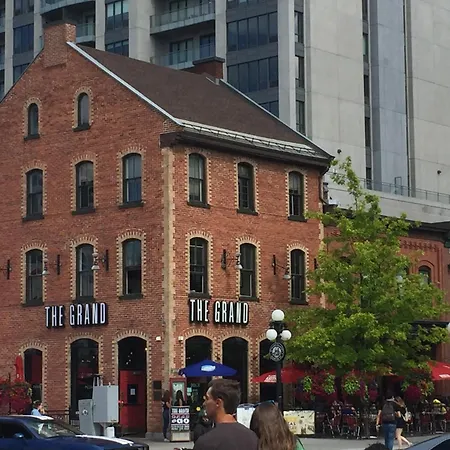 Linotte Chaumiere Des Marionnettes