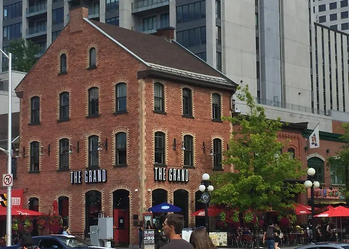 Linotte Chaumiere Des Marionnettes